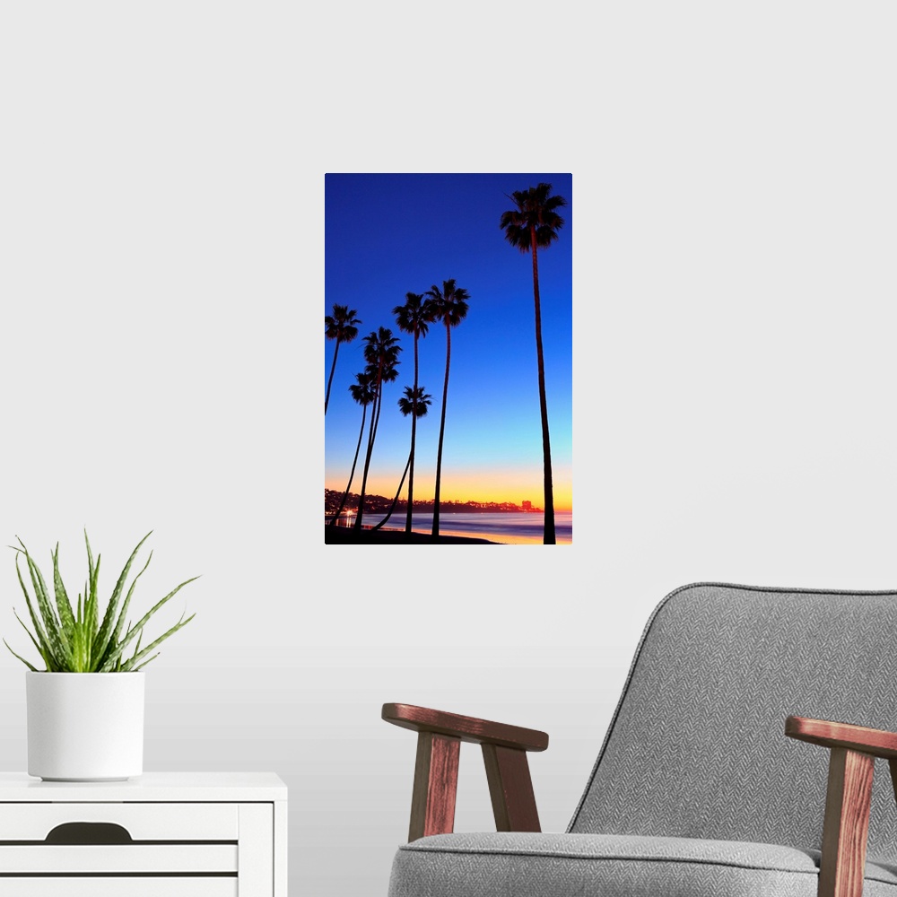 A modern room featuring Palm trees, La Jolla Shores Beach, La Jolla, San Diego, California