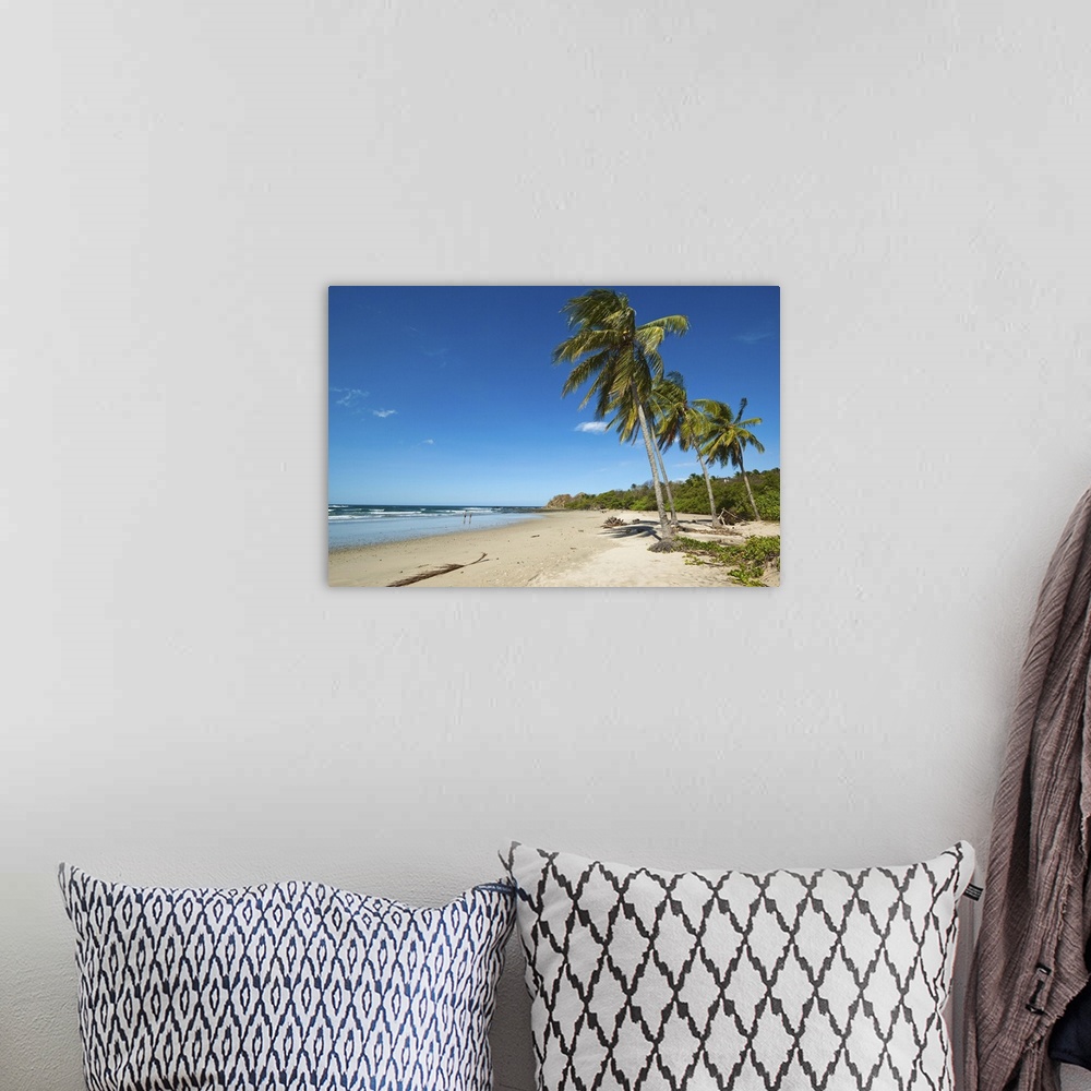 A bohemian room featuring Palm trees on Playa Guiones beach, Nosara, Nicoya Peninsula, Costa Rica