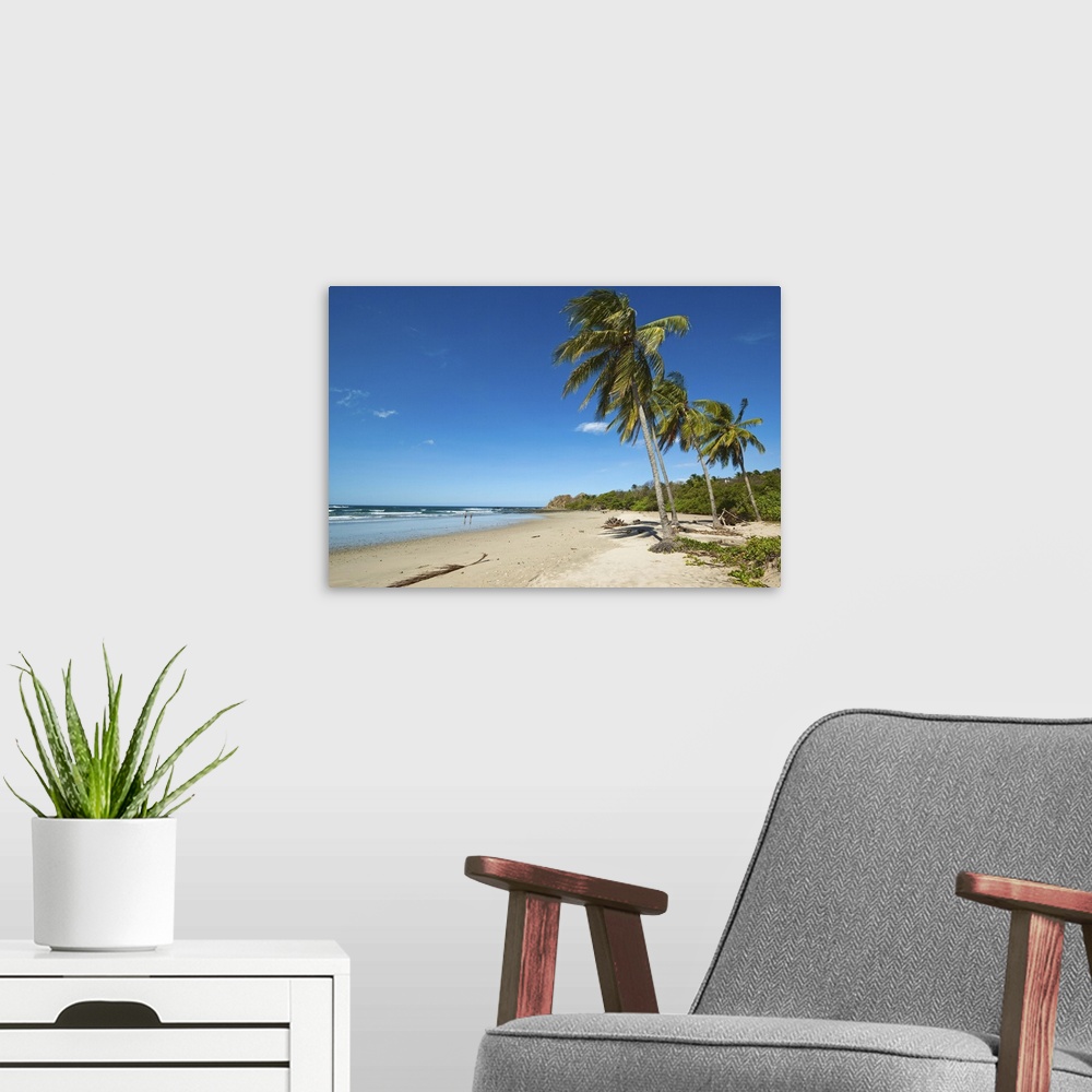 A modern room featuring Palm trees on Playa Guiones beach, Nosara, Nicoya Peninsula, Costa Rica