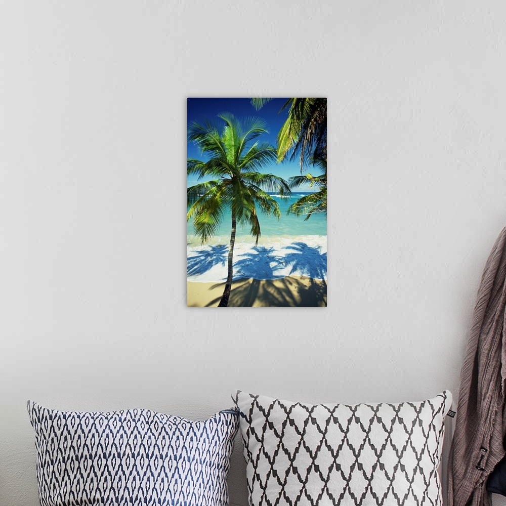 A bohemian room featuring Palm trees on tropical beach, Dominican Republic, West Indies, Caribbean