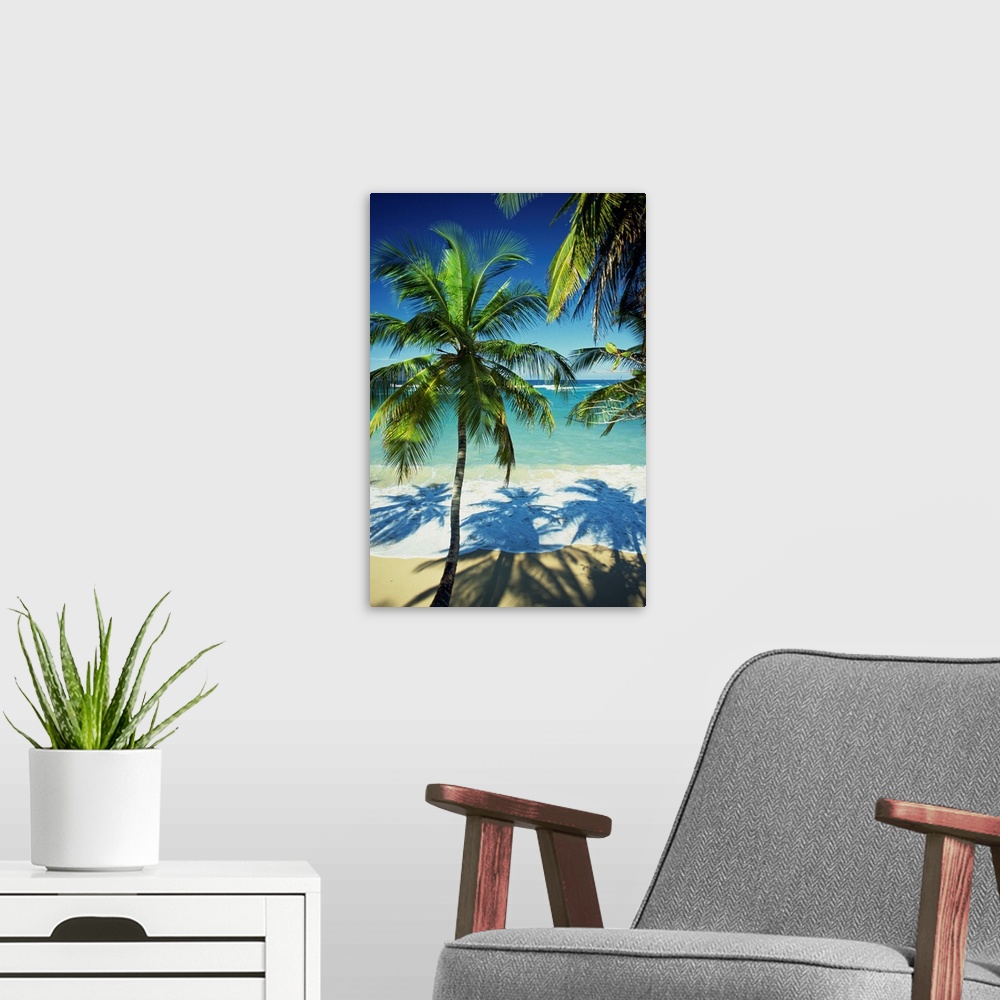 A modern room featuring Palm trees on tropical beach, Dominican Republic, West Indies, Caribbean