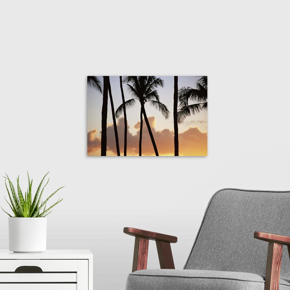 A modern room featuring Palm trees silhouetted against clouds and sunset, Kauai, Hawaii, USA