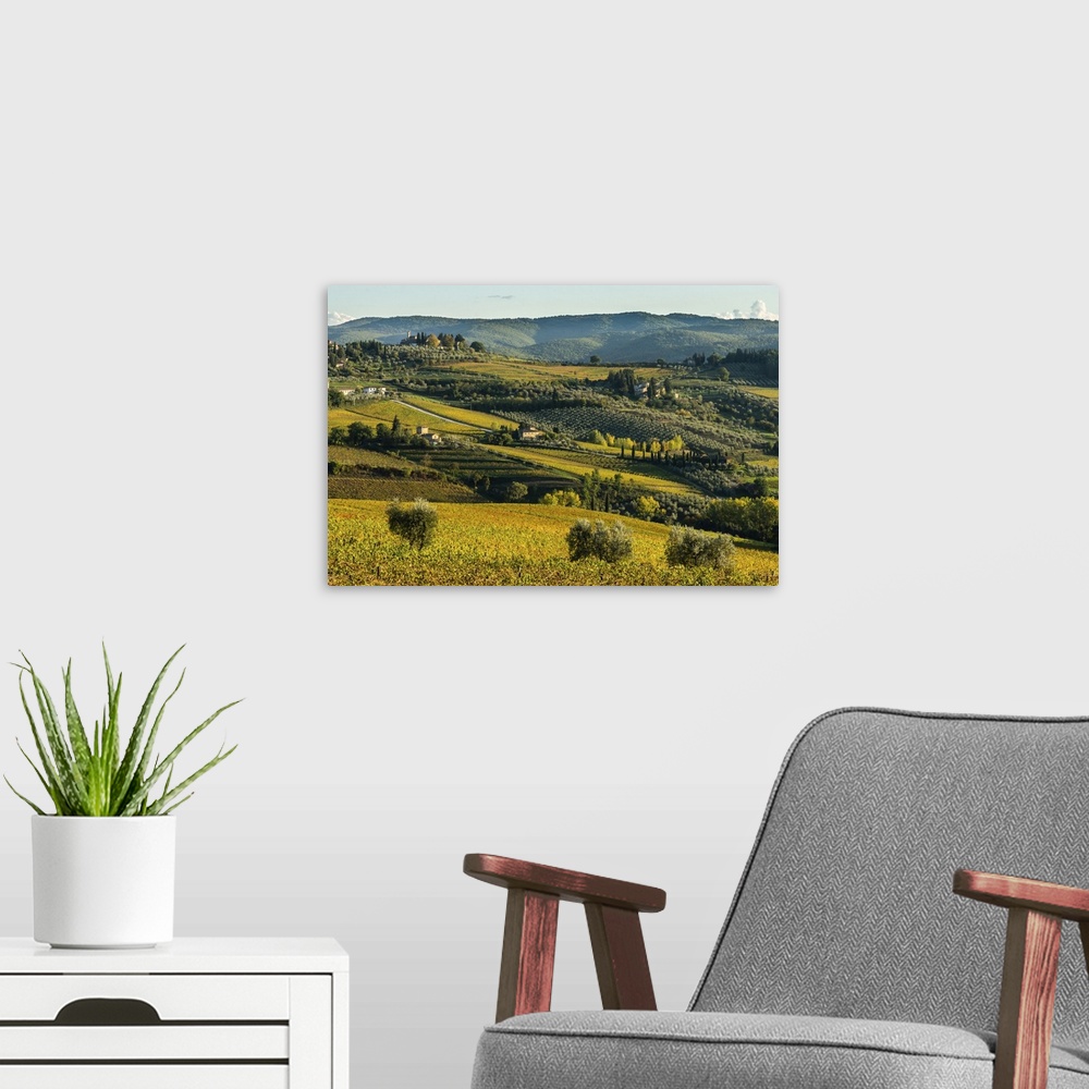 A modern room featuring View of valley of Panzano in Chianti, patterned lines of vineyards, cypresses and olive trees wit...