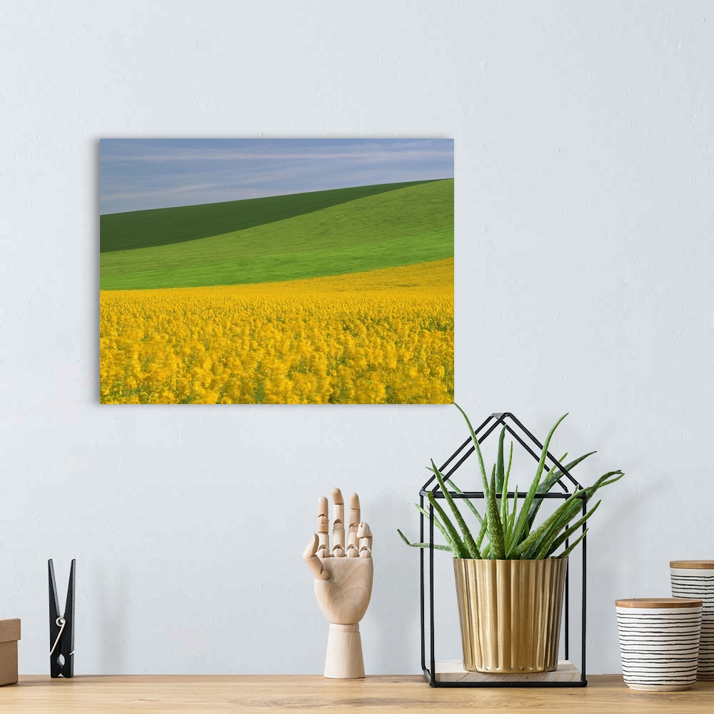 A bohemian room featuring Patterned green and yellow agricultural landscape in spring, Aube, France