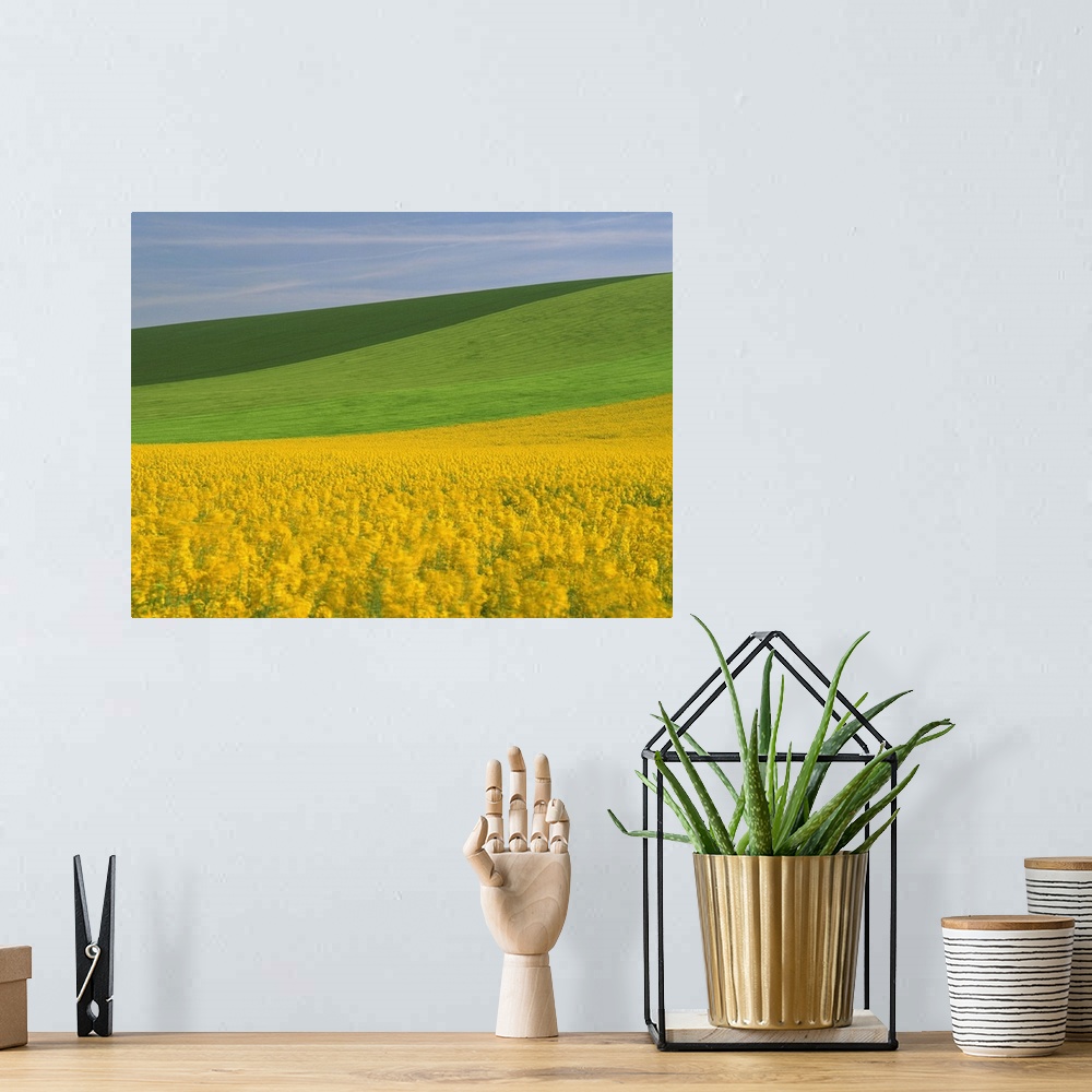 A bohemian room featuring Patterned green and yellow agricultural landscape in spring, Aube, France