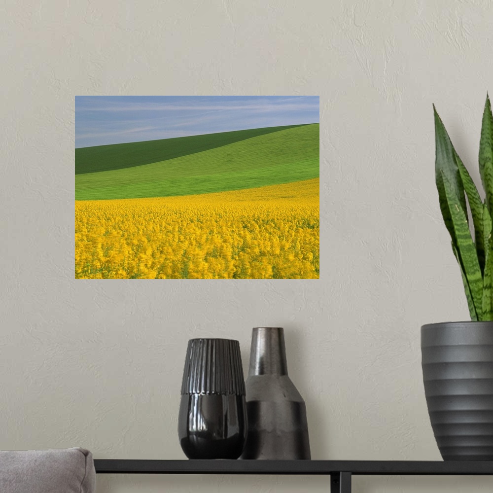 A modern room featuring Patterned green and yellow agricultural landscape in spring, Aube, France