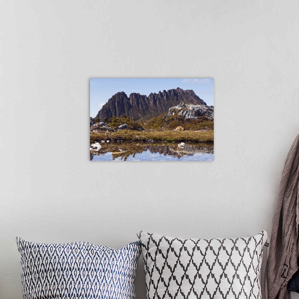 A bohemian room featuring Peaks of Cradle Mountain, 1545m, Cradle Mountain Lake, Tasmania, Australia, Pacific