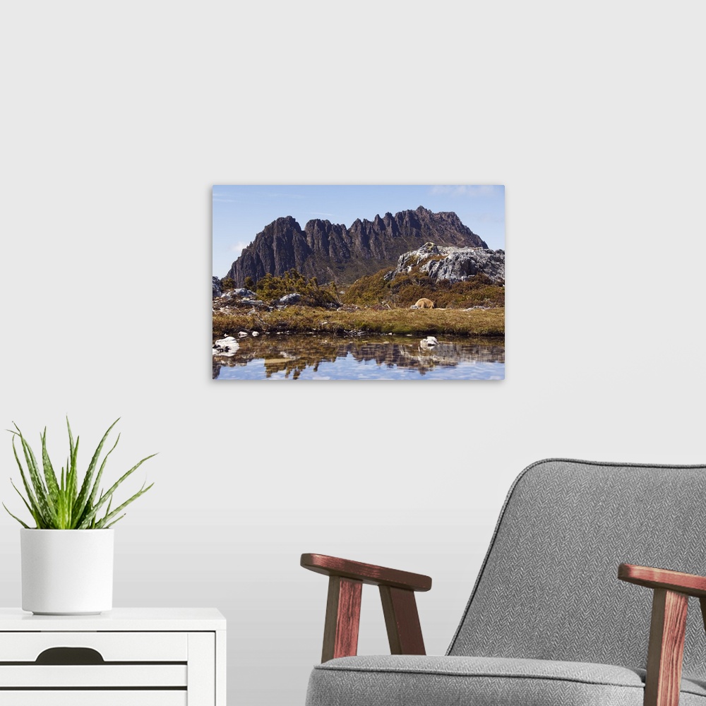 A modern room featuring Peaks of Cradle Mountain, 1545m, Cradle Mountain Lake, Tasmania, Australia, Pacific