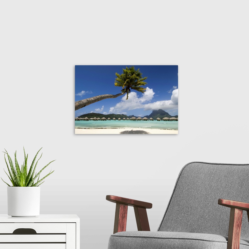 A modern room featuring Pearl Beach Resort, Bora-Bora, Leeward group, Society Islands, French Polynesia