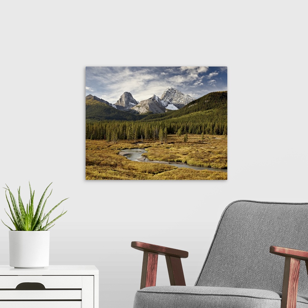 A modern room featuring Alpine scene in the fall with Smutts Creek, Commonwealth Peak on left, Pigs Tail (Sharks Tooth) i...