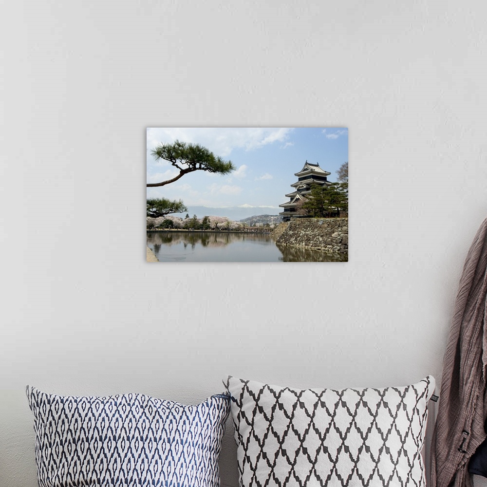 A bohemian room featuring Pine tree, Matsumoto Castle, Matsumoto city, Honshu island, Japan