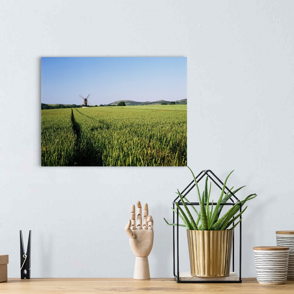 A bohemian room featuring Pitstone windmill and cornfield, Chilterns, Buckinghamshire, England