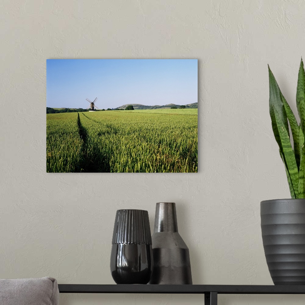 A modern room featuring Pitstone windmill and cornfield, Chilterns, Buckinghamshire, England