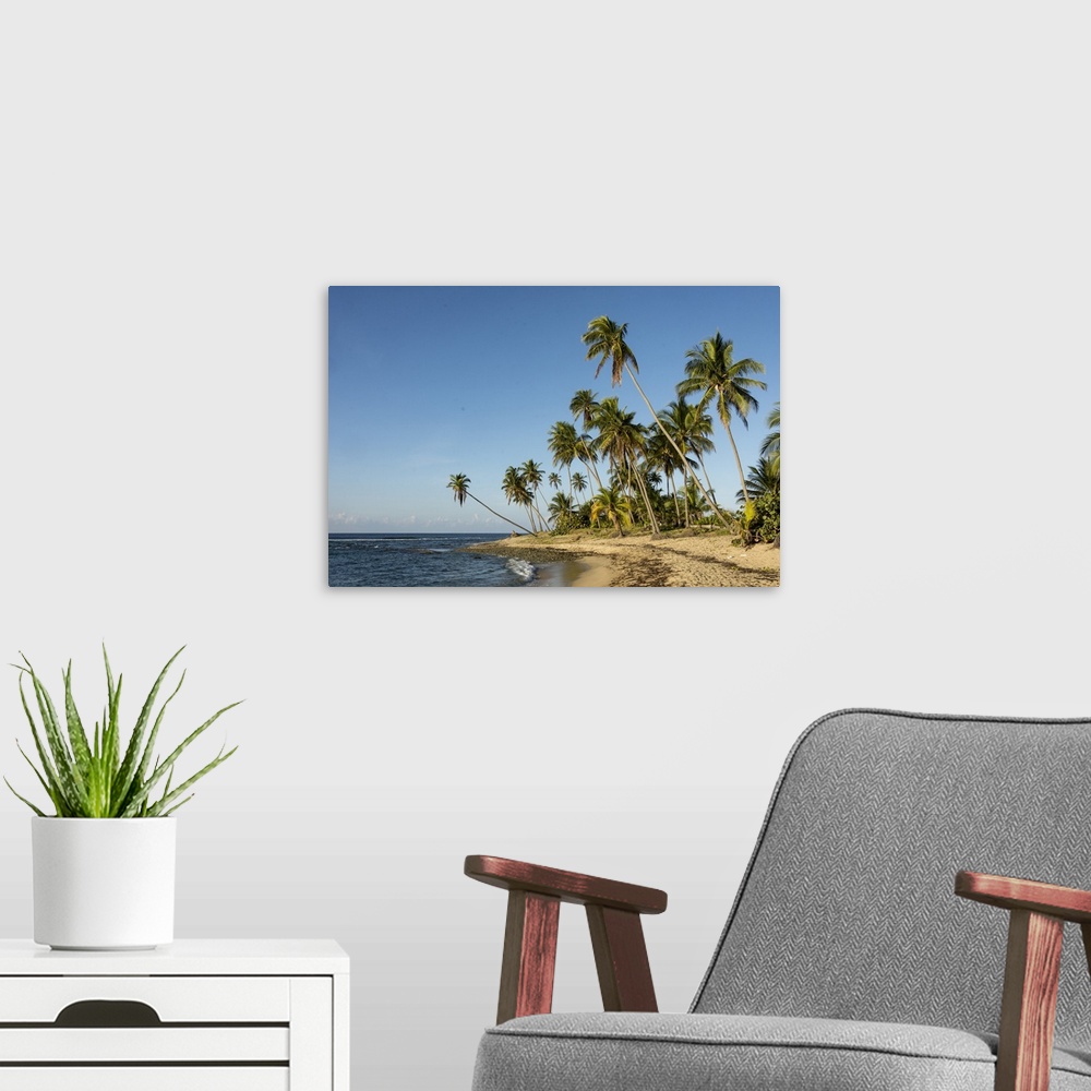 A modern room featuring Playa Los Bohios, Maunabo, south coast of Puerto Rico, Caribbean, Central America