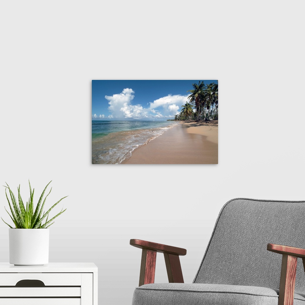 A modern room featuring Playa Portillo, Las Terrenas, Samana, Dominican Republic, West Indies, Caribbean