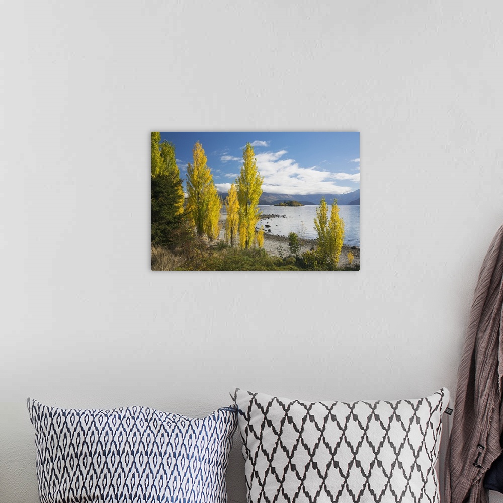 A bohemian room featuring Poplars growing on the shore of Lake Wanaka, autumn, Roys Bay, Wanaka, Queenstown-Lakes district,...