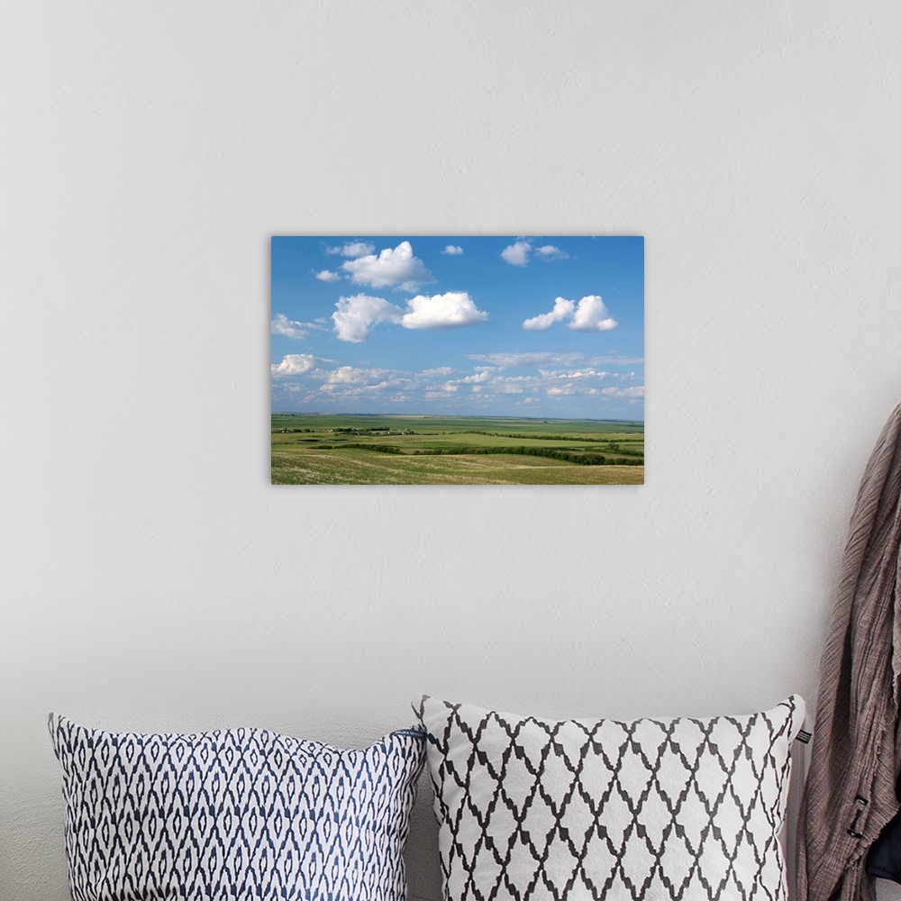 A bohemian room featuring Prairie farmland, North Dakota, United States of America, North America