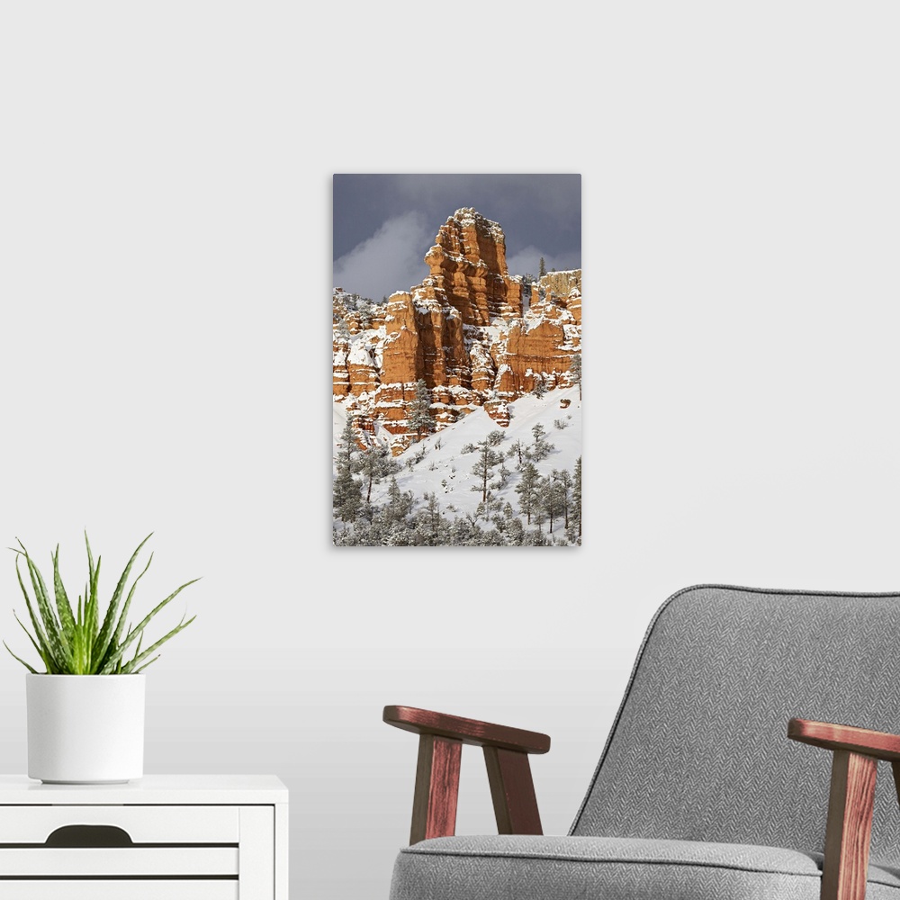 A modern room featuring Red rock formations, Red Canyon, Dixie National Forest, Utah