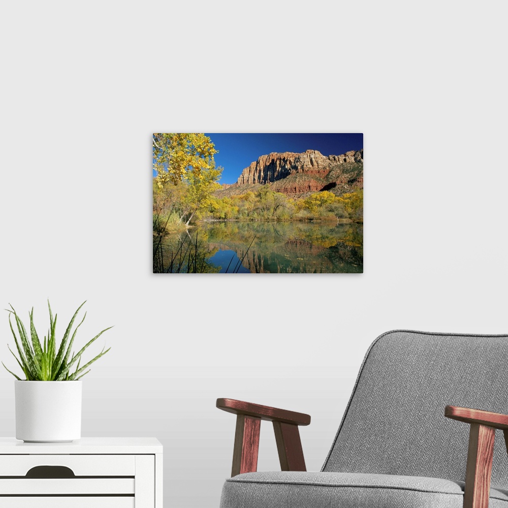 A modern room featuring Reflections of trees in fall colours and the cliffs of Zion, in a lake, at Springdale near the Zi...