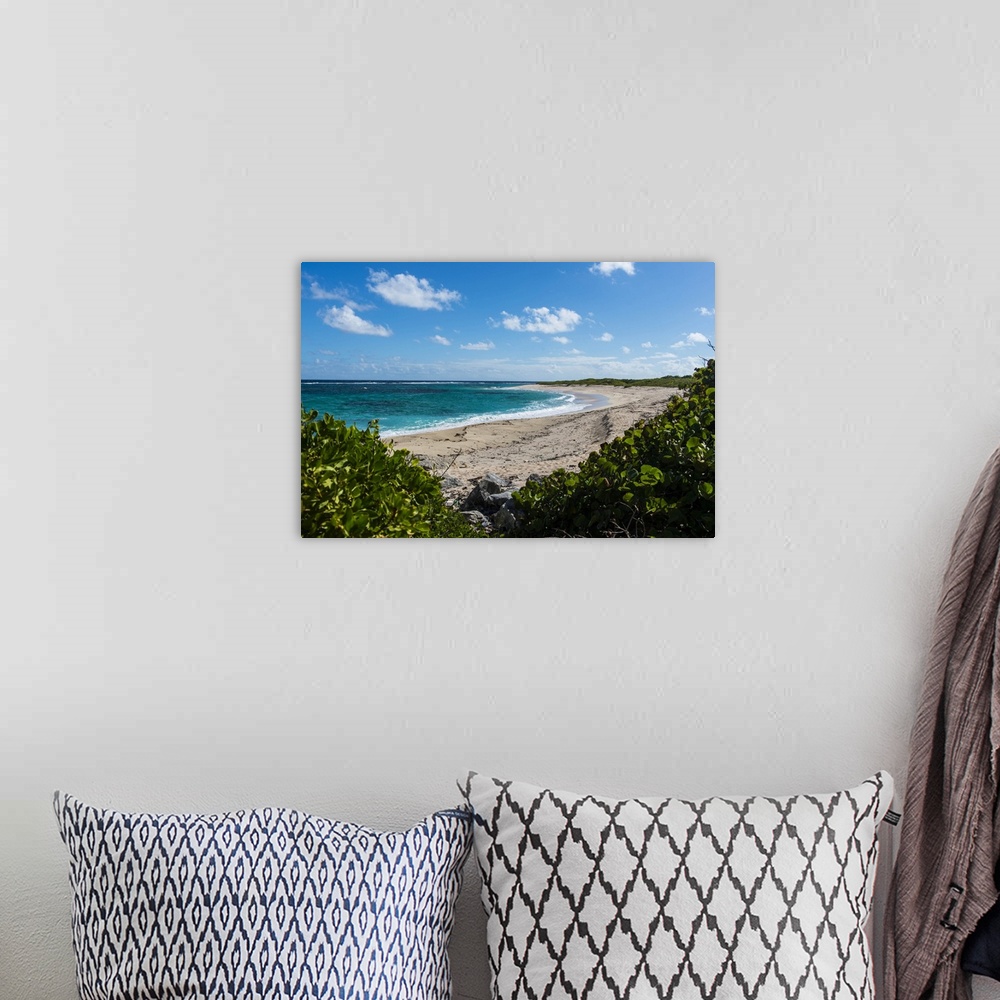 A bohemian room featuring Remote white sand beach in Barbuda, Antigua and Barbuda