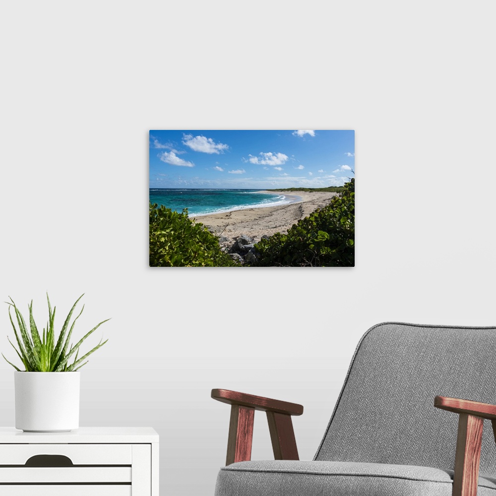 A modern room featuring Remote white sand beach in Barbuda, Antigua and Barbuda