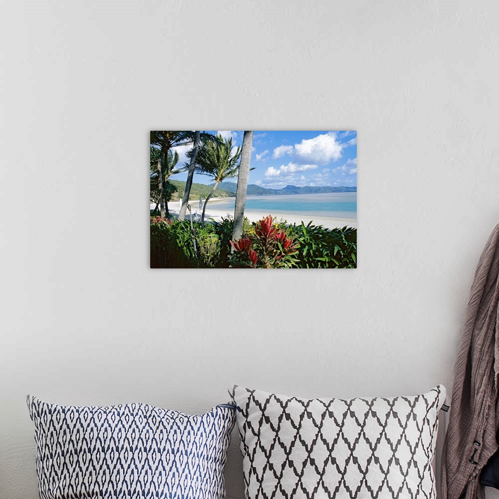 A bohemian room featuring Resort beach, Hayman Island, Whitsundays, Queensland, Australia, Pacific