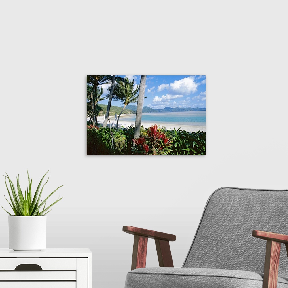 A modern room featuring Resort beach, Hayman Island, Whitsundays, Queensland, Australia, Pacific
