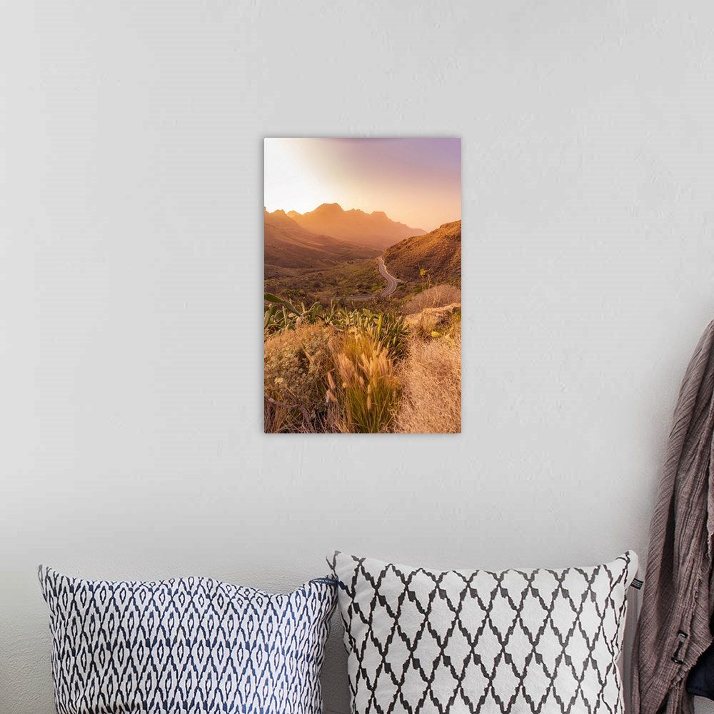 A bohemian room featuring View of road and flora in mountainous landscape during golden hour near Tasarte, Gran Canaria, Ca...
