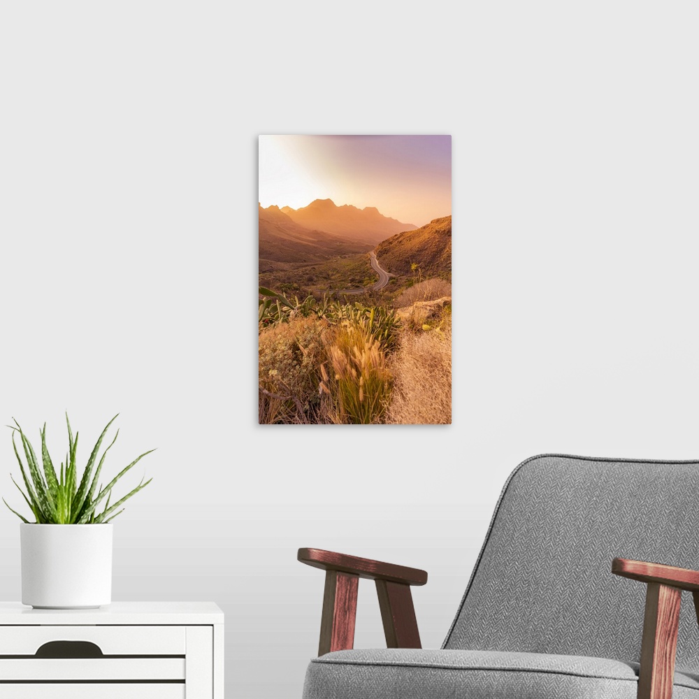 A modern room featuring View of road and flora in mountainous landscape during golden hour near Tasarte, Gran Canaria, Ca...
