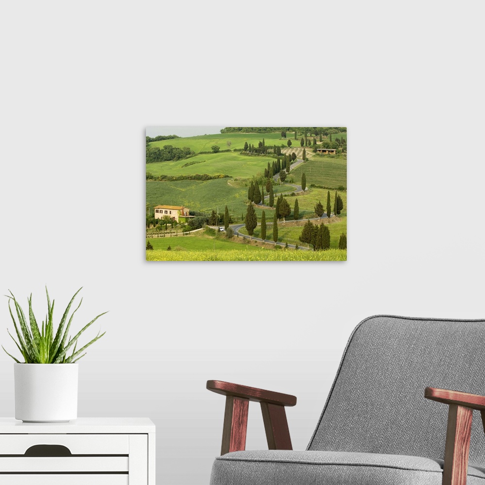 A modern room featuring Road from Pienza to Montepulciano, Monticchiello, Siena province, Tuscany, Italy