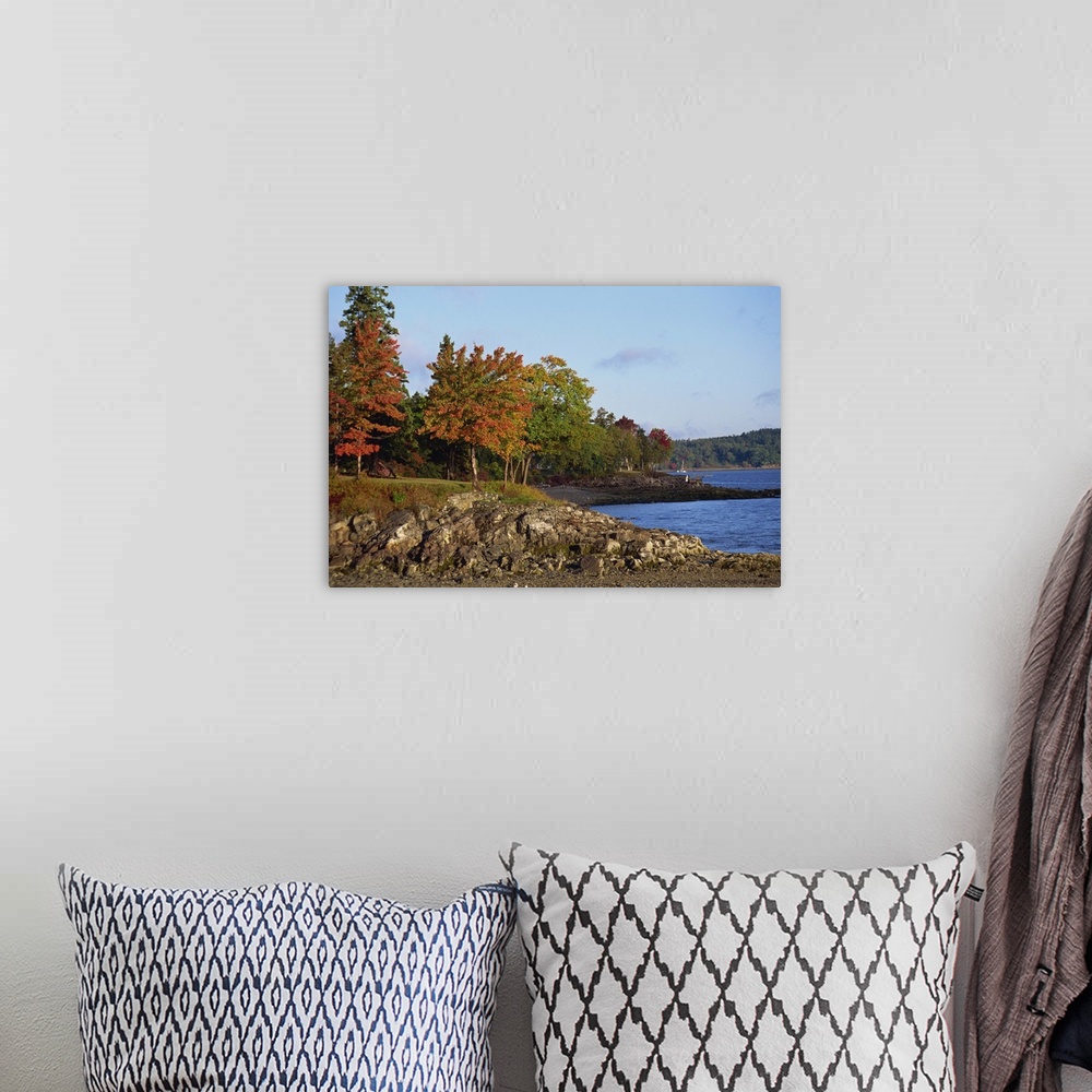 A bohemian room featuring Rocky shoreline and trees in fall, Bar Harbour, Maine, New England, USA