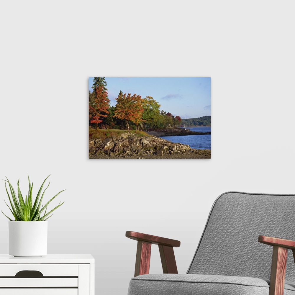 A modern room featuring Rocky shoreline and trees in fall, Bar Harbour, Maine, New England, USA