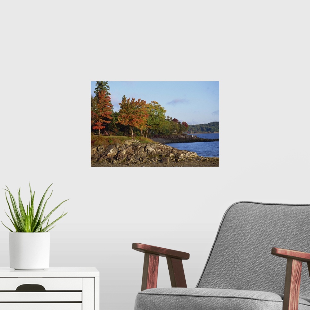 A modern room featuring Rocky shoreline and trees in fall, Bar Harbour, Maine, New England, USA