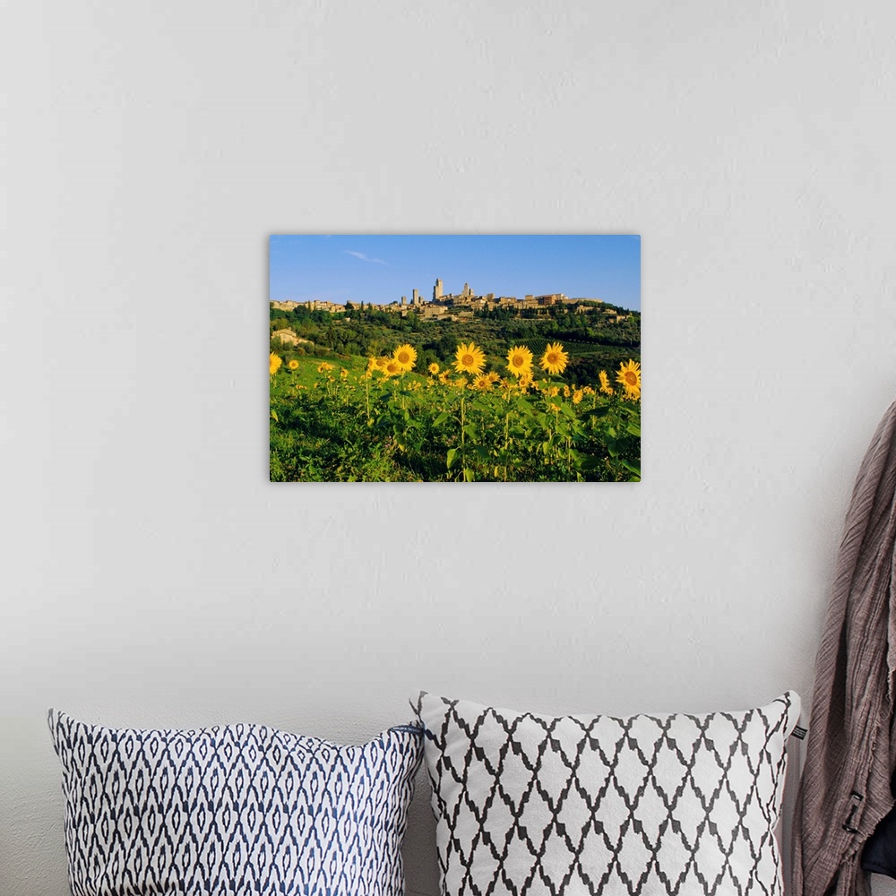 A bohemian room featuring San Gimignano and field of sunflowers, Tuscany, Italy