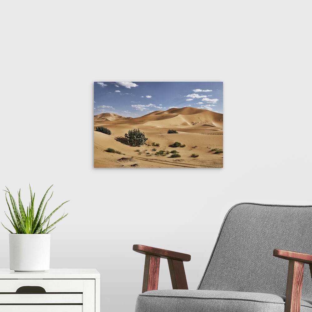 A modern room featuring Sand dunes and bushes in the Sahara Desert, Merzouga, Morocco, North Africa, Africa