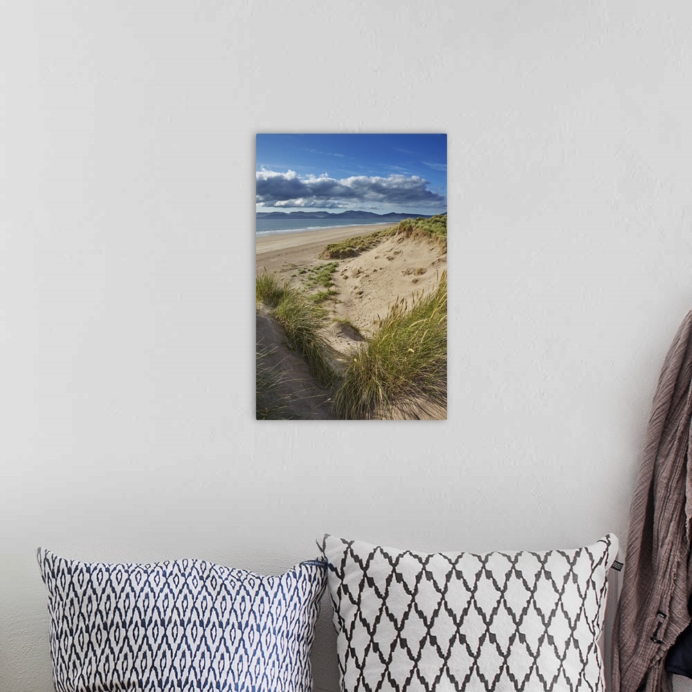 A bohemian room featuring Sand dunes on Rossbeigh beach, Ring of Kerry, County Kerry, Munster, Republic of Ireland
