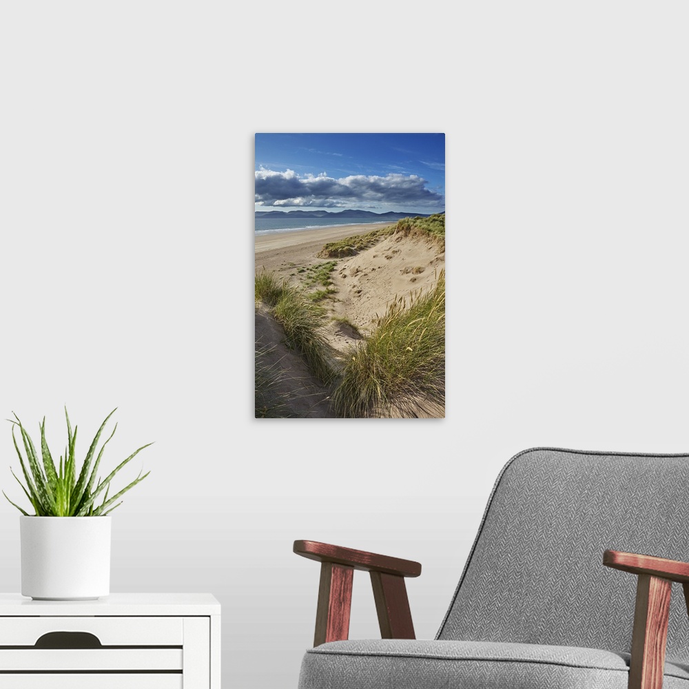 A modern room featuring Sand dunes on Rossbeigh beach, Ring of Kerry, County Kerry, Munster, Republic of Ireland