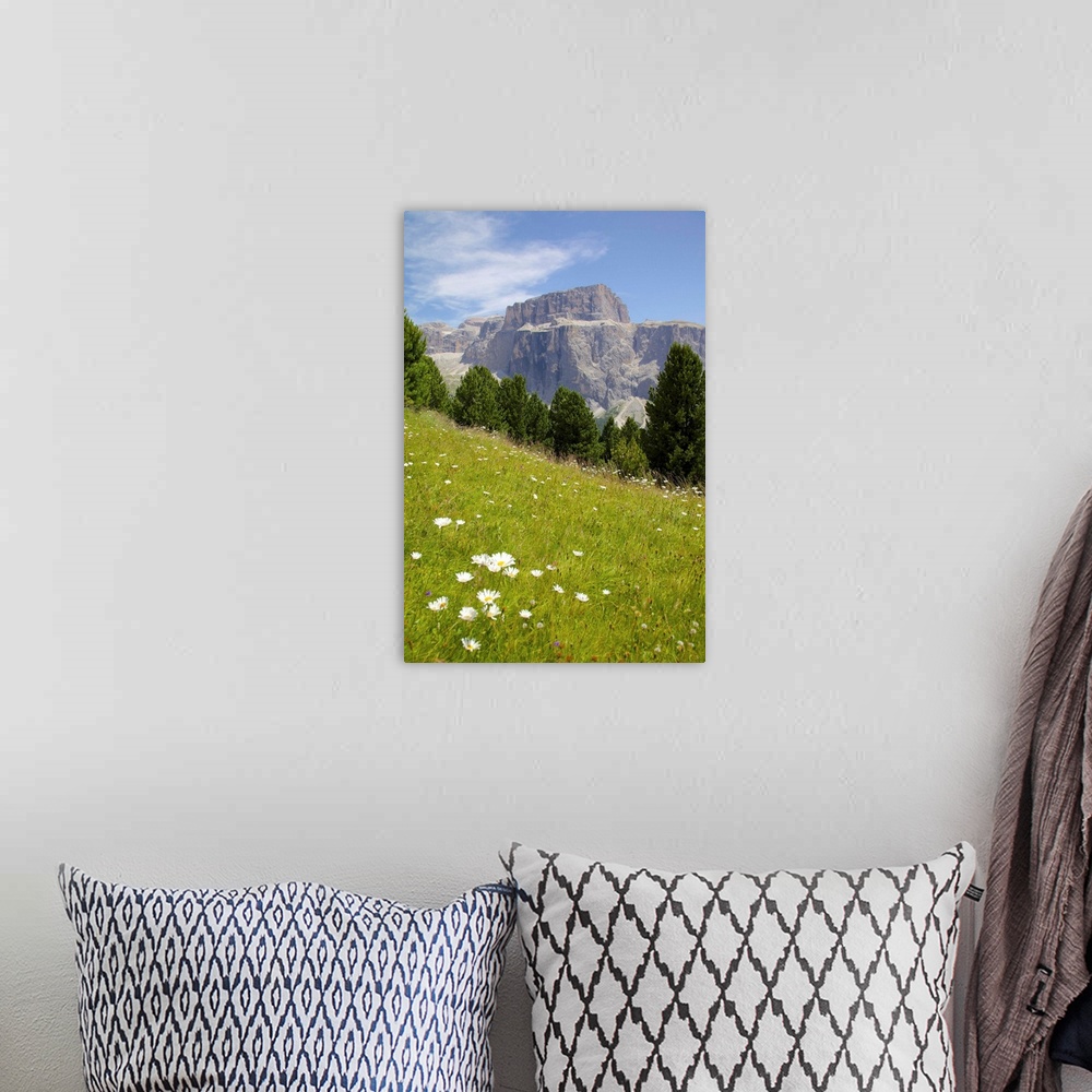 A bohemian room featuring Sella Pass and daisies, Trento and Bolzano Provinces, Italian Dolomites, Italy, Europe