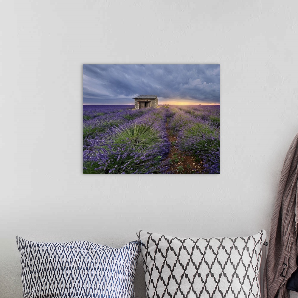 A bohemian room featuring Small stone house in lavender field at sunset with a cloudy sky, Valensole, Provence, France, Europe
