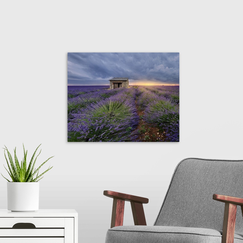 A modern room featuring Small stone house in lavender field at sunset with a cloudy sky, Valensole, Provence, France, Europe