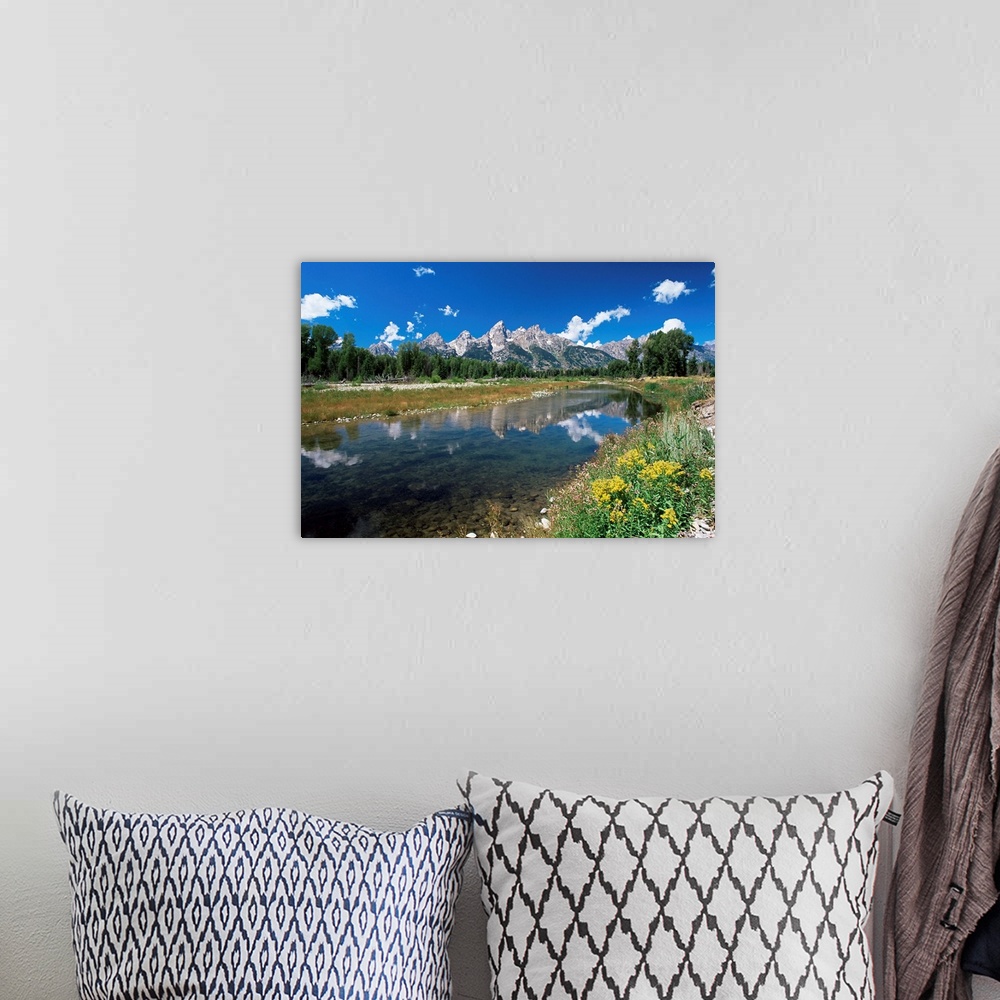 A bohemian room featuring View from Schwabacher's Landing across the Snake River to the Teton Range, Grand Teton National P...