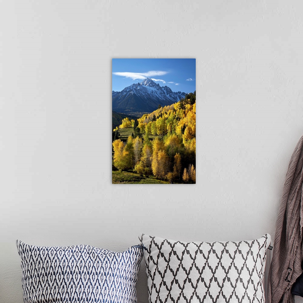A bohemian room featuring Sneffels Range with fall colors, Uncompahgre National Forest, Colorado