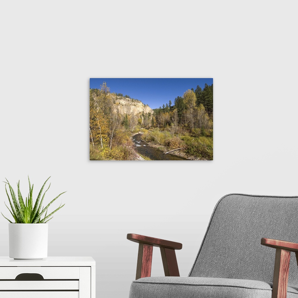 A modern room featuring Spearfish Canyon, Black Hills, South Dakota