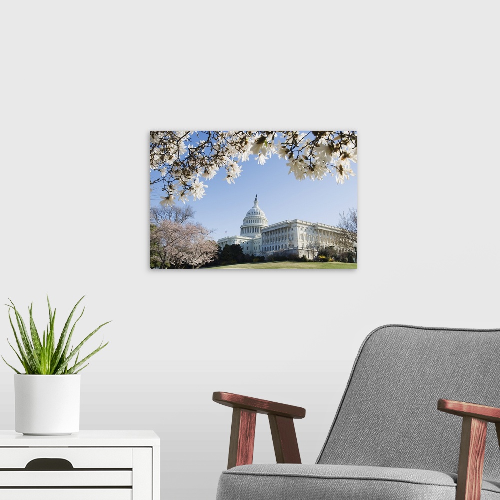 A modern room featuring Spring cherry blossom, The Capitol Building, Capitol Hill, Washington D.C