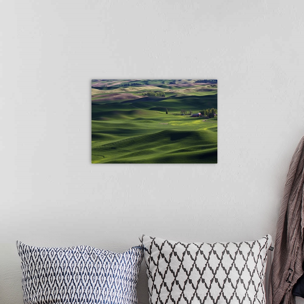 A bohemian room featuring Spring in the Palouse, from Steptoe Butte, Washington State