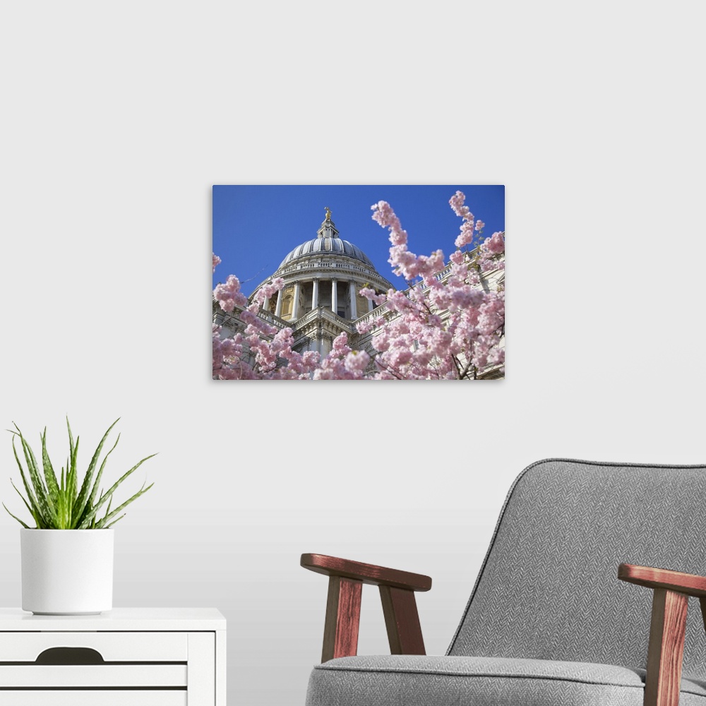 A modern room featuring St. Paul's Cathedral and spring blossom, London, England, United Kingdom, Europe