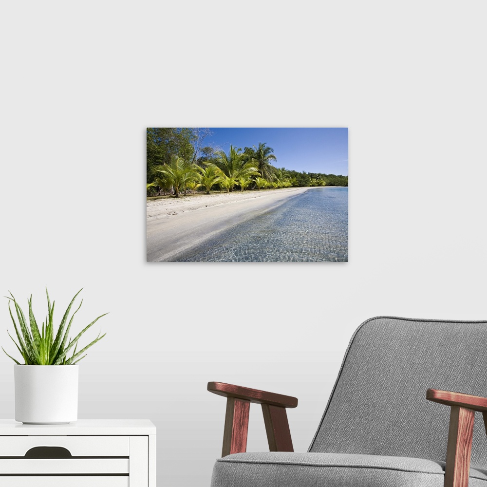 A modern room featuring Star Beach, Colon Island (Isla Colon), Bocas del Toro Province, Panama, Central America