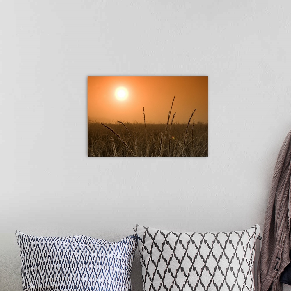 A bohemian room featuring Sunrise in the fen, Hiller Moor, Nordrhein Westfalen, Germany