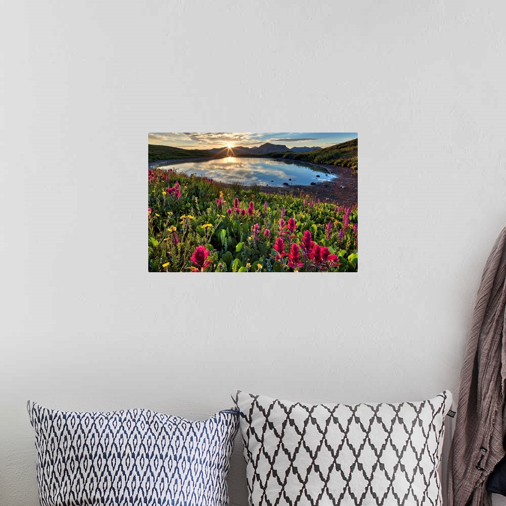 A bohemian room featuring Sunrise over Alpine wildflowers, San Juan National Forest, Colorado