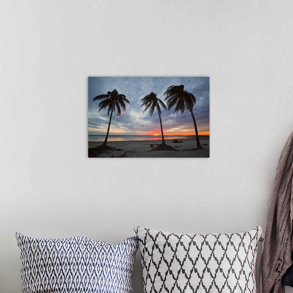 A bohemian room featuring Sunset and palm trees on Playa Guiones beach, Nosara, Nicoya Peninsula, Costa Rica